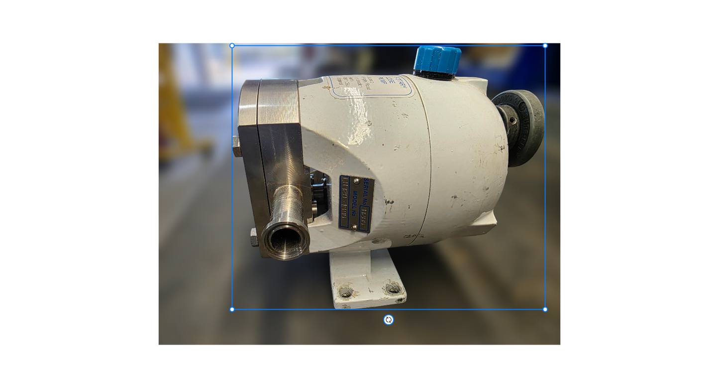 JABSCO LH320-1880 LOBE PUMP